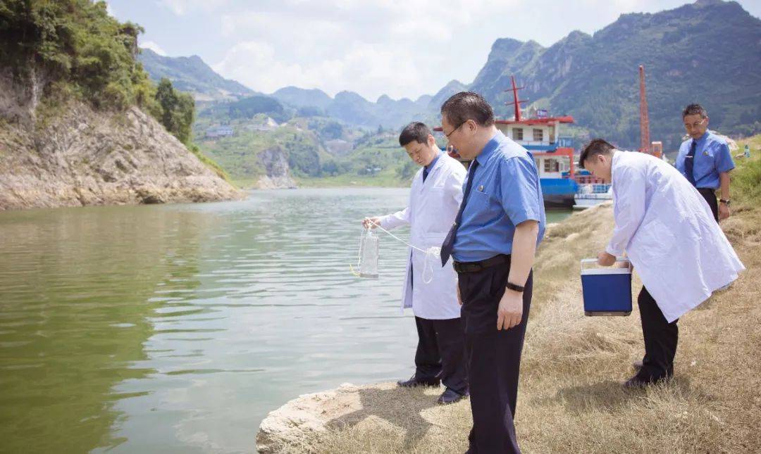 野生动物保护公益诉讼典型案例,检察院助力生态环境保护公益诉讼