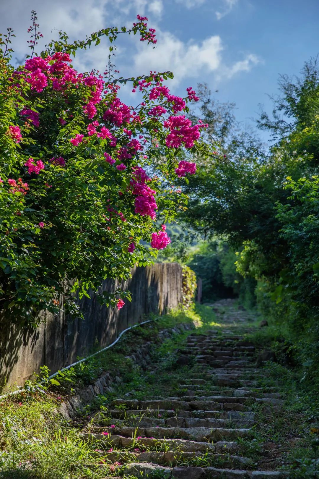 深圳梅林水库绿道线路图,深圳首条手作步道