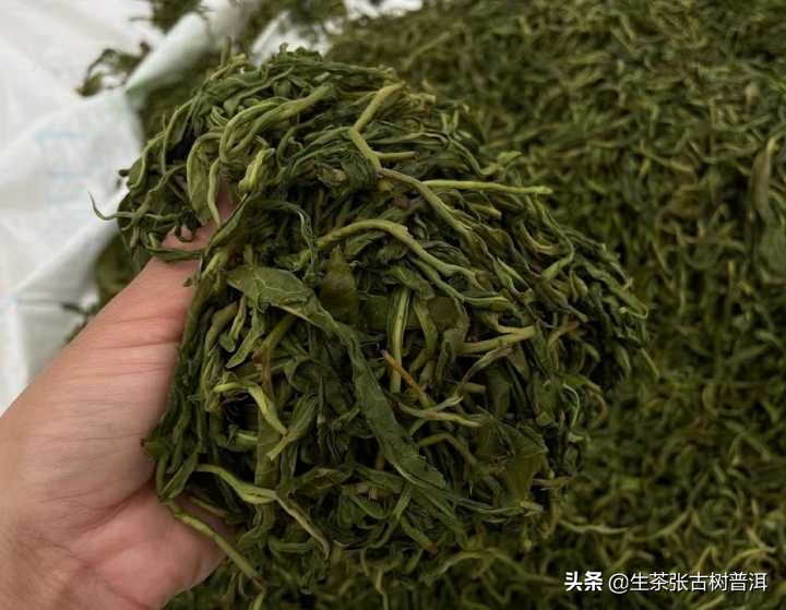 普洱茶好茶和普通普洱茶怎么区分,如何区分熟普洱和生普洱茶的区别