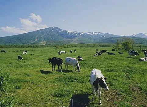 为什么奥巴马挑战半个地球,奥巴马为什么这么牛