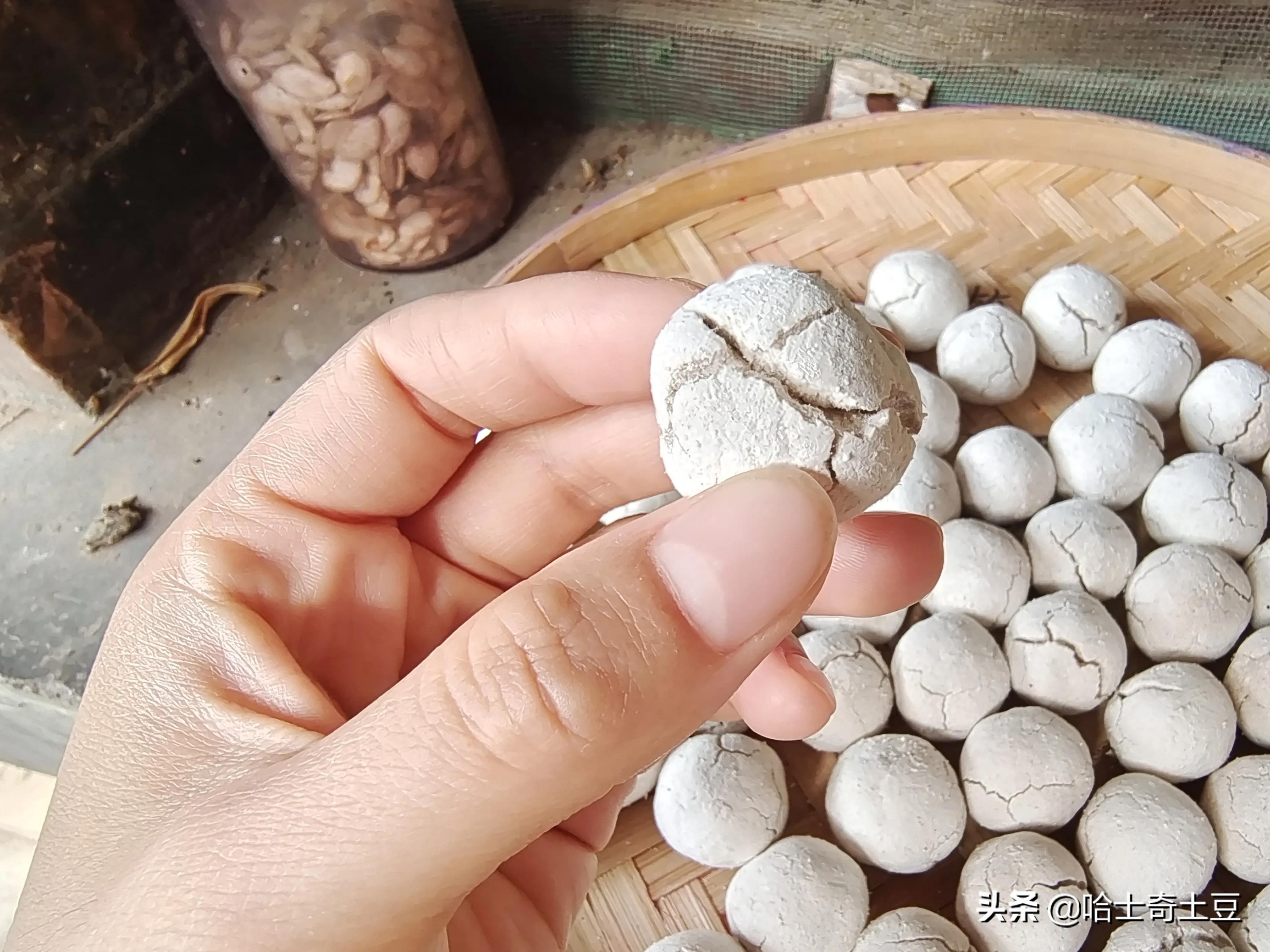 做酒酿500克糯米甜酒曲放多了,纯手工甜酒小丸子摆摊做法