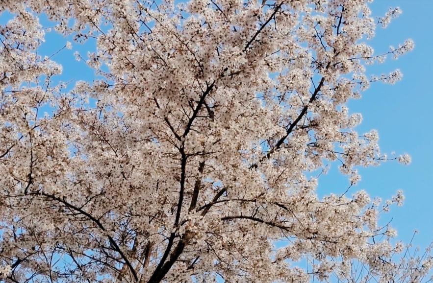郑州七月份适合带孩子去哪旅游,郑州周边五一适合去哪旅游带孩子