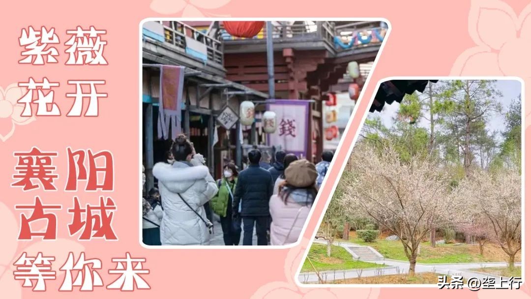 湖北春季赏花攻略十大赏花路线,叮你有一份礼物请查收音频
