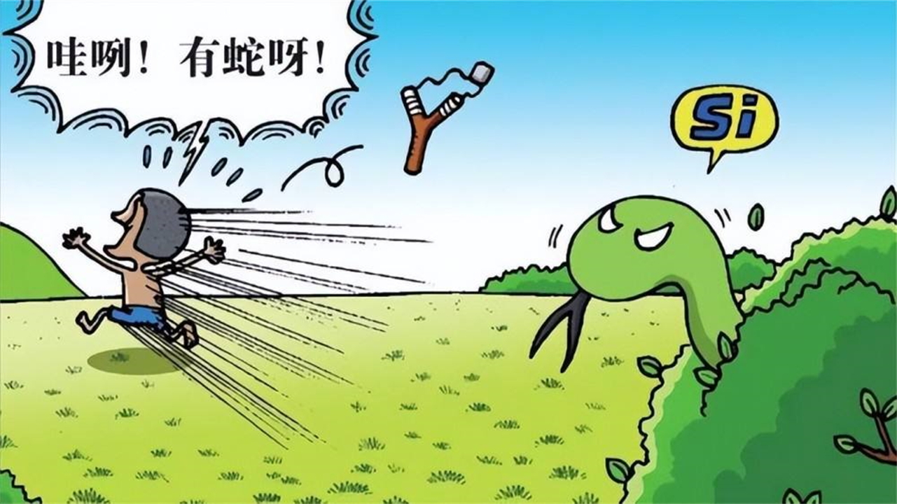 蛇冬眠为什么不被饿死,蛇冬眠为什么要杀死