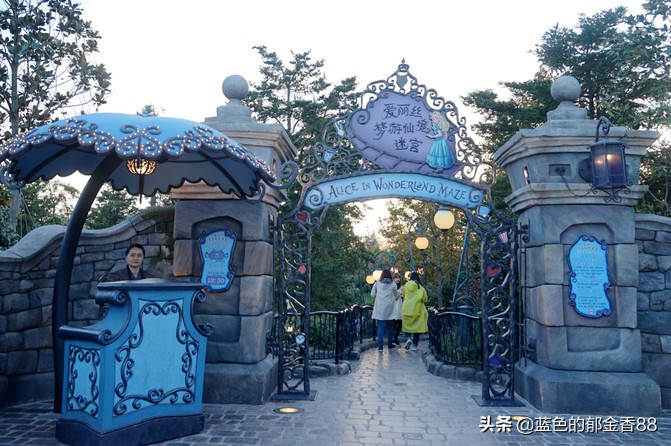 周末白相里的一张床、一群朋友、暴走于迪士尼乐园