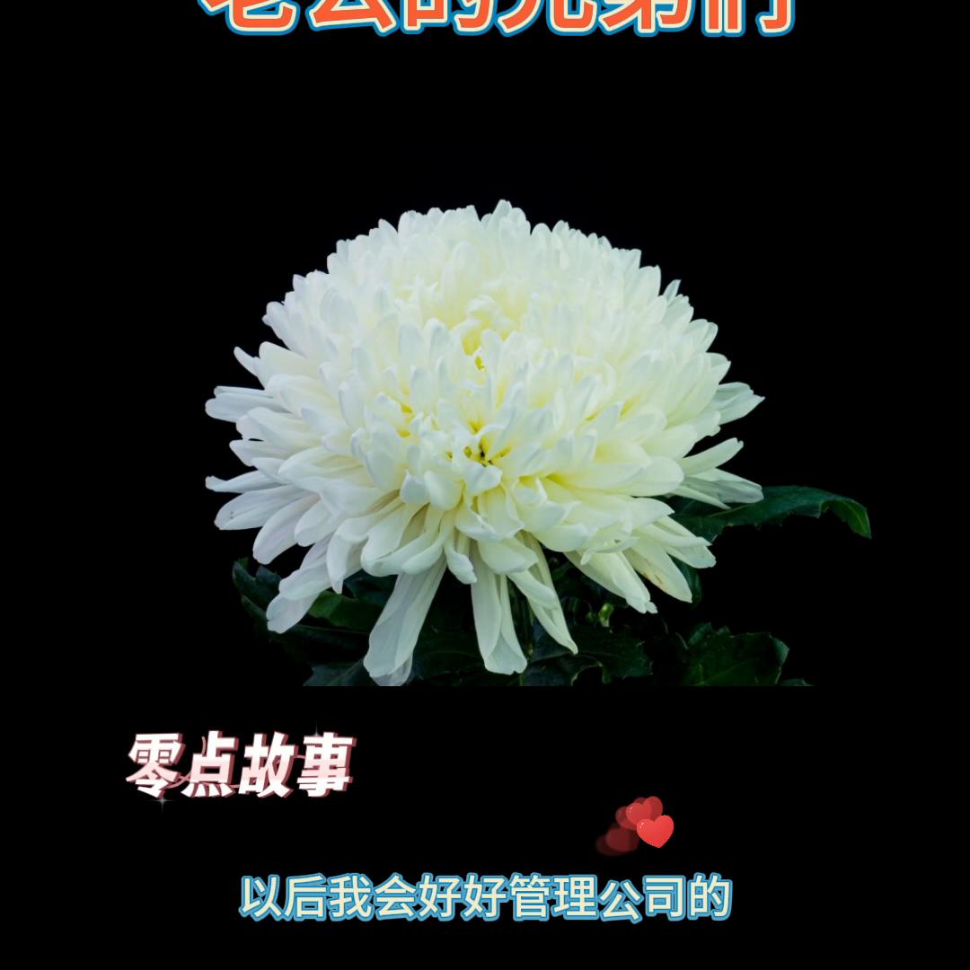 祝朋友开心快乐每一天祝福语 (祝朋友开心快乐的文案)