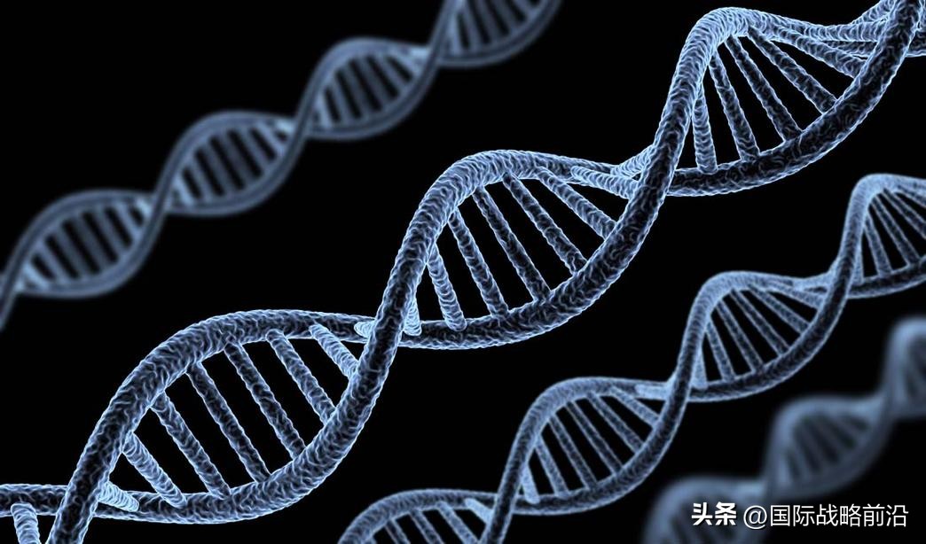 生命本源—8可复制单链的产生