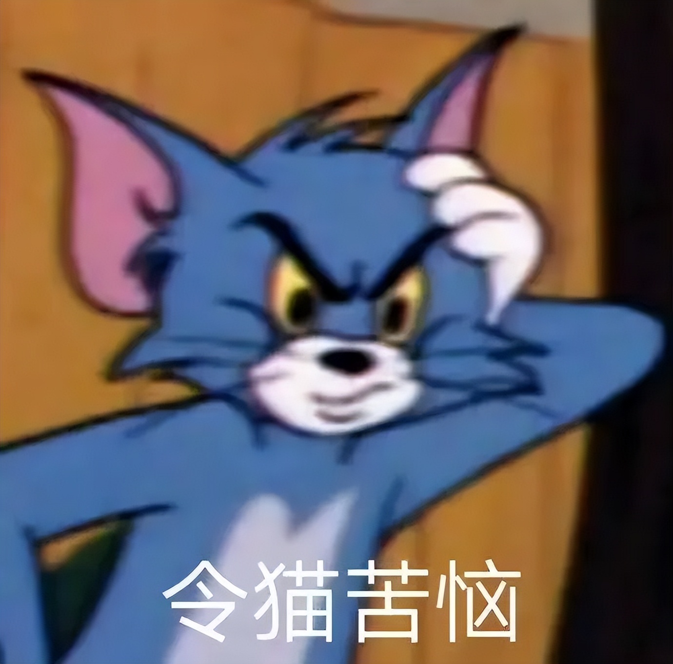 澳洲生活需要什么手续,澳洲生活需要注意什么