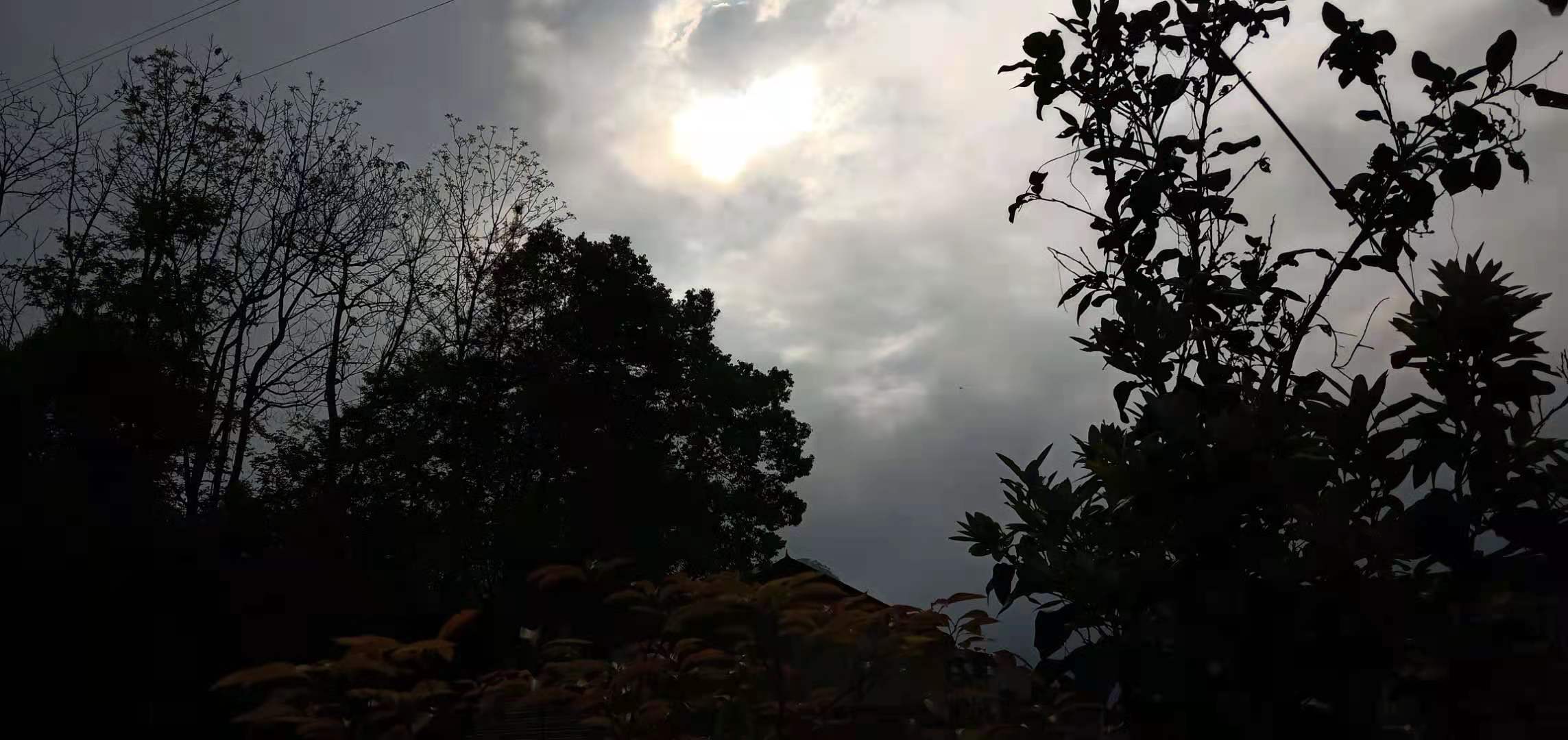 人老了怎么办（转载）