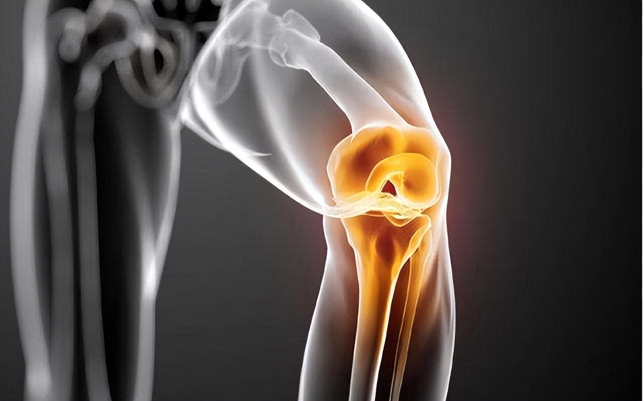 大米和玉米哪个当主食好可以减肥,减肥期间能不能把山芋和玉米吃饱