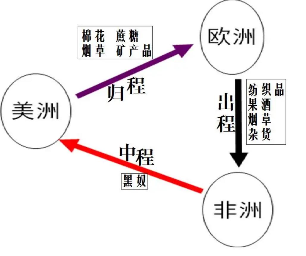 吸烟危害动物实验视频,吸烟对猫狗的危害