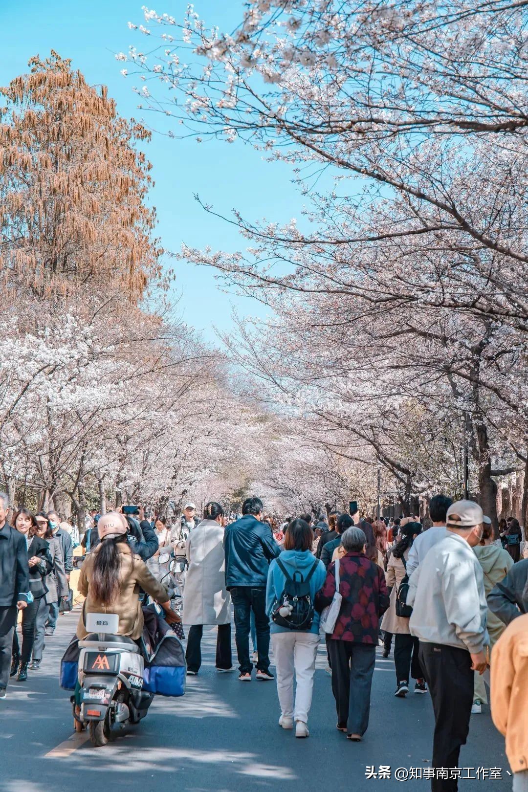 南京是一座充满故事的城市,南京是一座温暖的城
