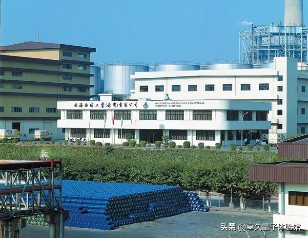 共和国长子房企,共和国长子百科介绍