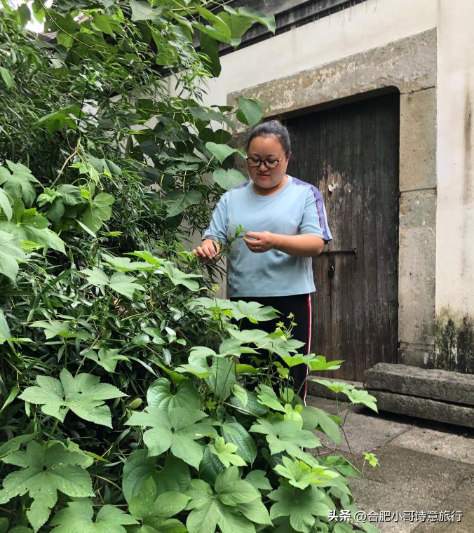 莺子朗诵《四季学林》作者：贺江平