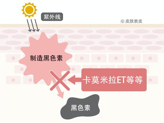 riceforceb面霜如何购买,riceforce米之珀测评