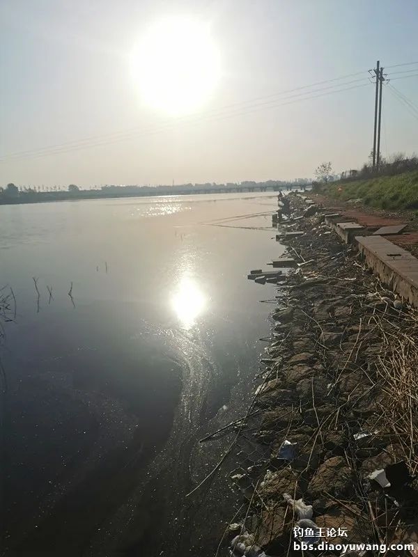 天气变冷怎么钓板鲫,温度升高钓鲢鳙