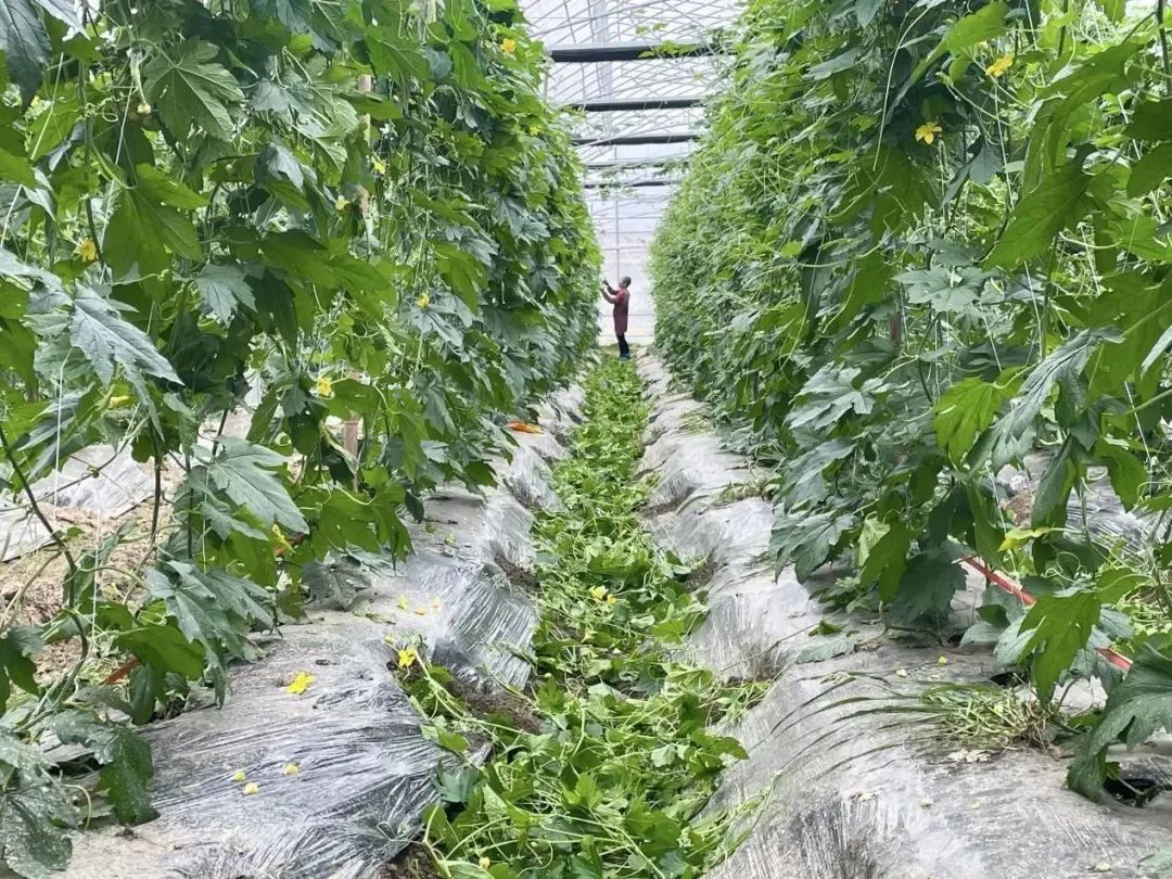 江西“拼”图|这些国资国企重点项目进度条刷新！（二）