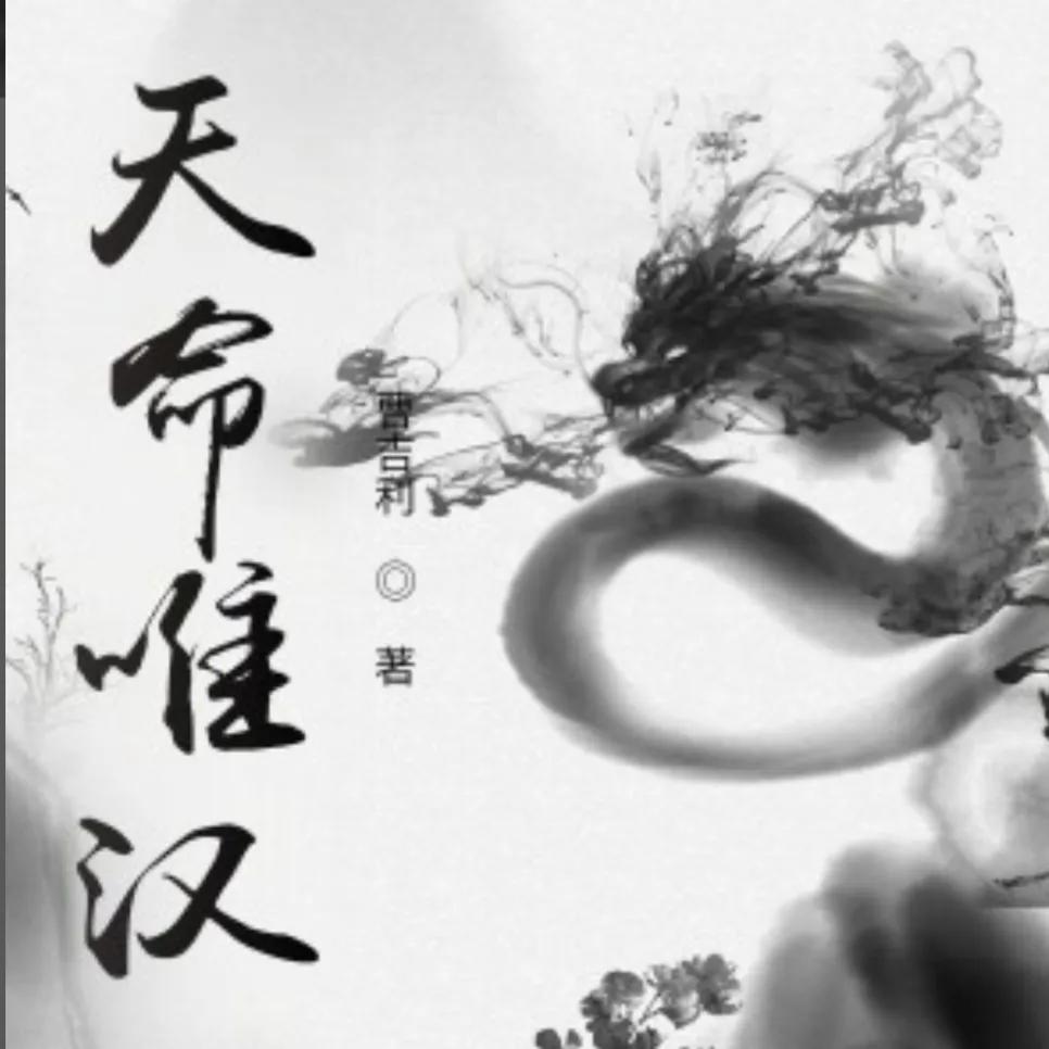 5本百看不腻的历史架空小说,50本架空历史小说