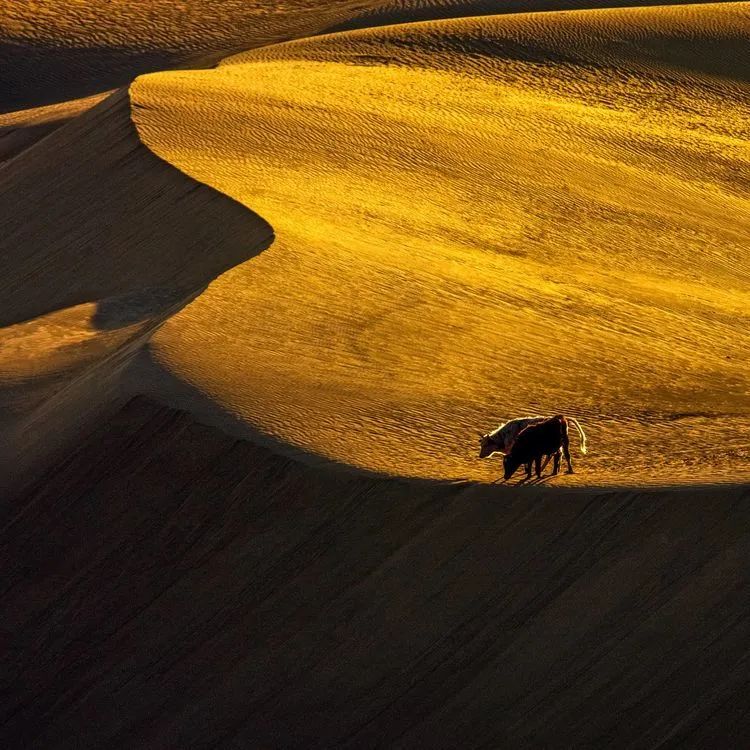 内蒙奈曼旗宝古图沙漠摄影,内蒙古古祭敖包