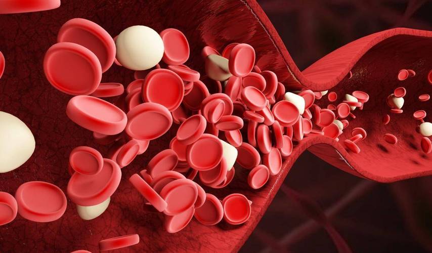 耳聋耳鸣怎么办只需一招给你缓解,小孩感冒引起的耳鸣怎么快速缓解