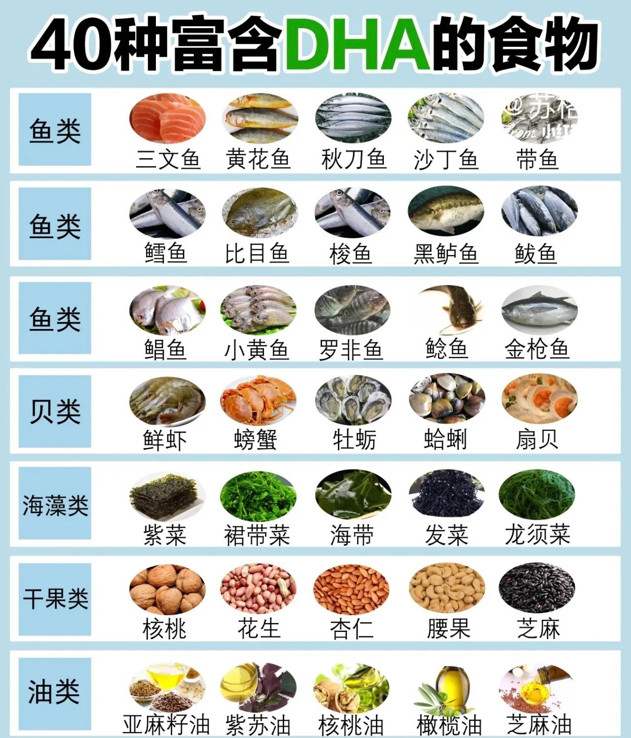 怀孕什么时候补DHA？胎儿大脑发育开始补，宝宝健康又聪明