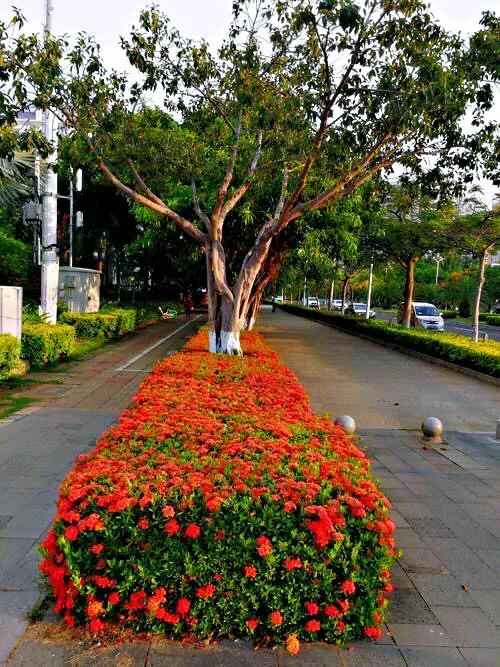 美丽的龙江河,美丽的草原我的家