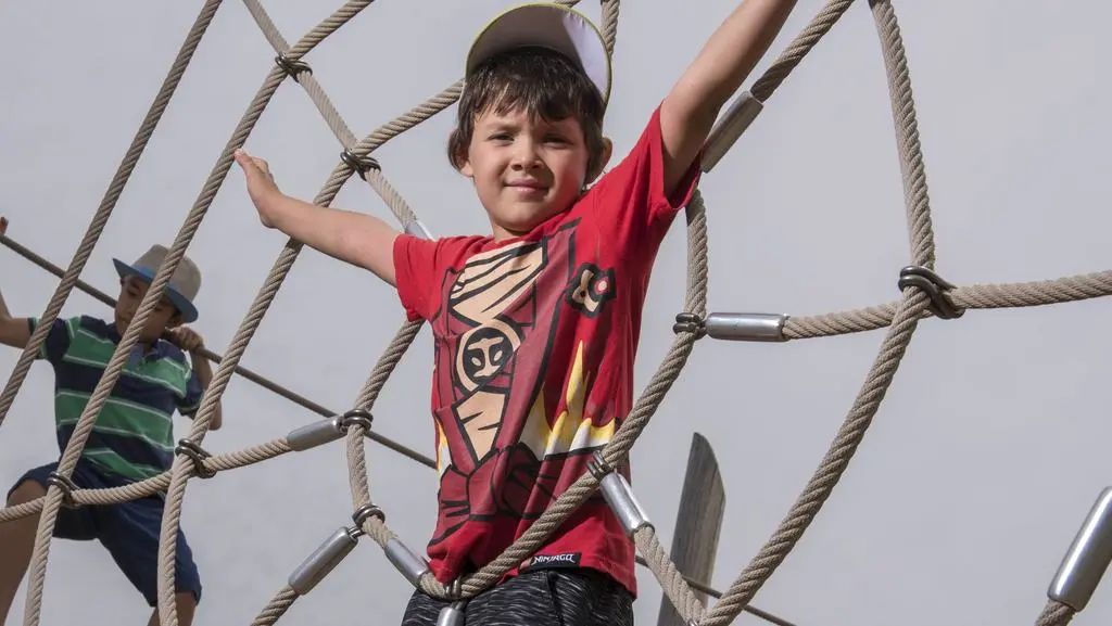 好玩的自由建造动物园游戏,狂野大自然游戏