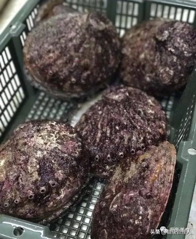 世界十大顶级海鲜食材有哪些品种,海鲜贝类品种大全及名字