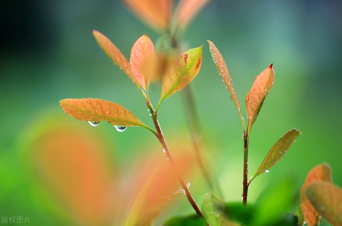 最高院判例是否应当作为判案依据,最高院金融商事判例