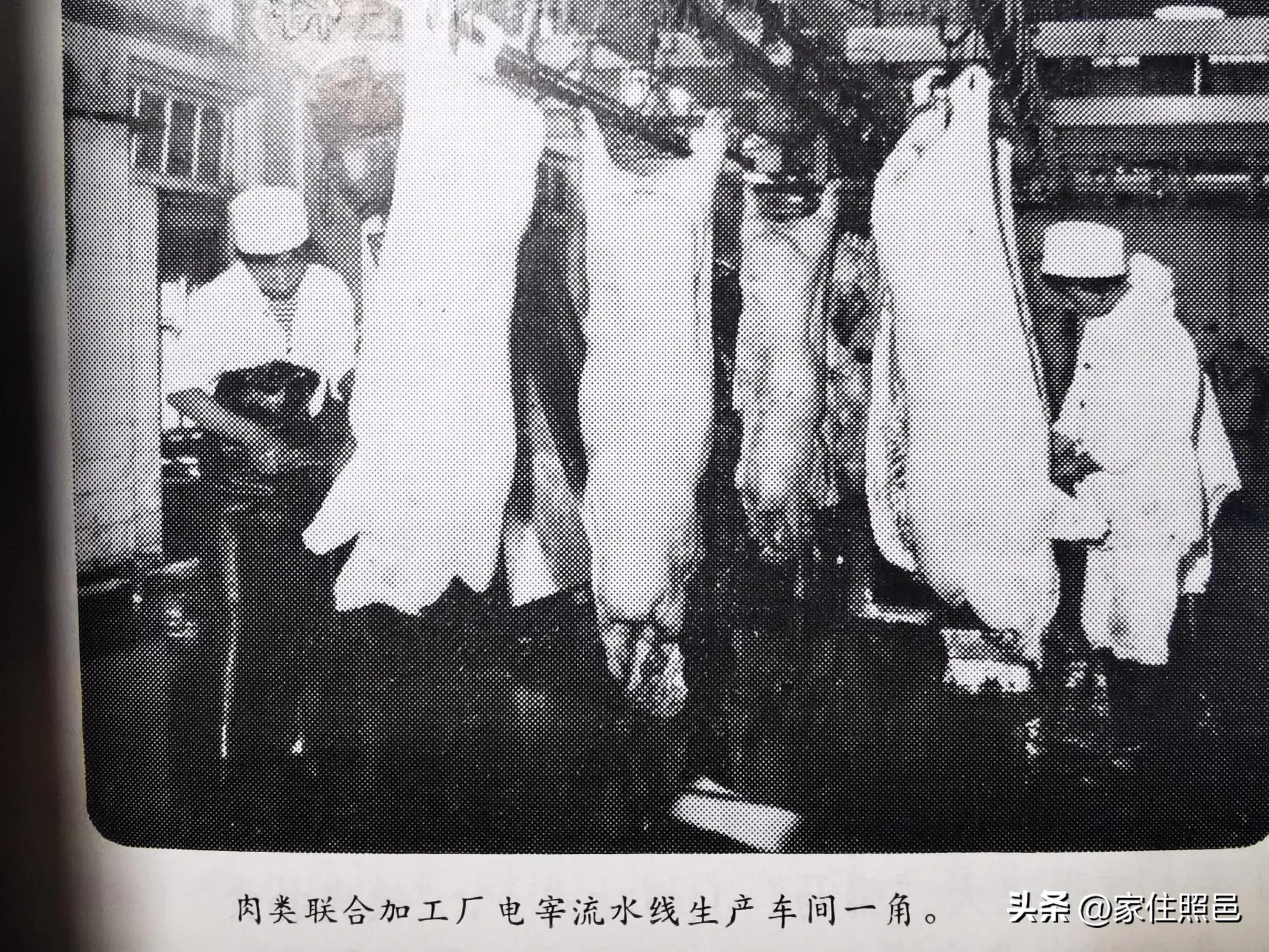 日照有什么好玩的地方,日照绿茶价格表