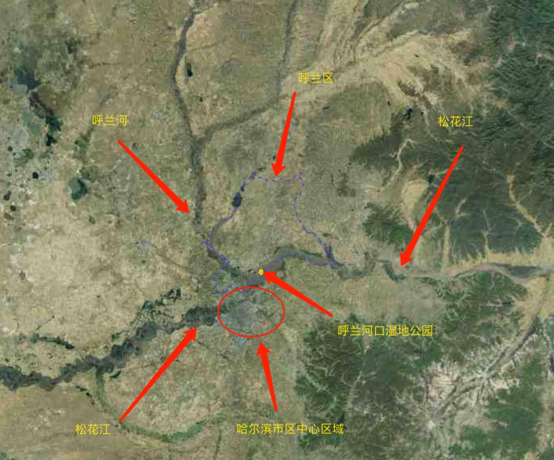 时光交织·呼兰韵事|带你踏遍“满洲谷仓”的魅力足迹