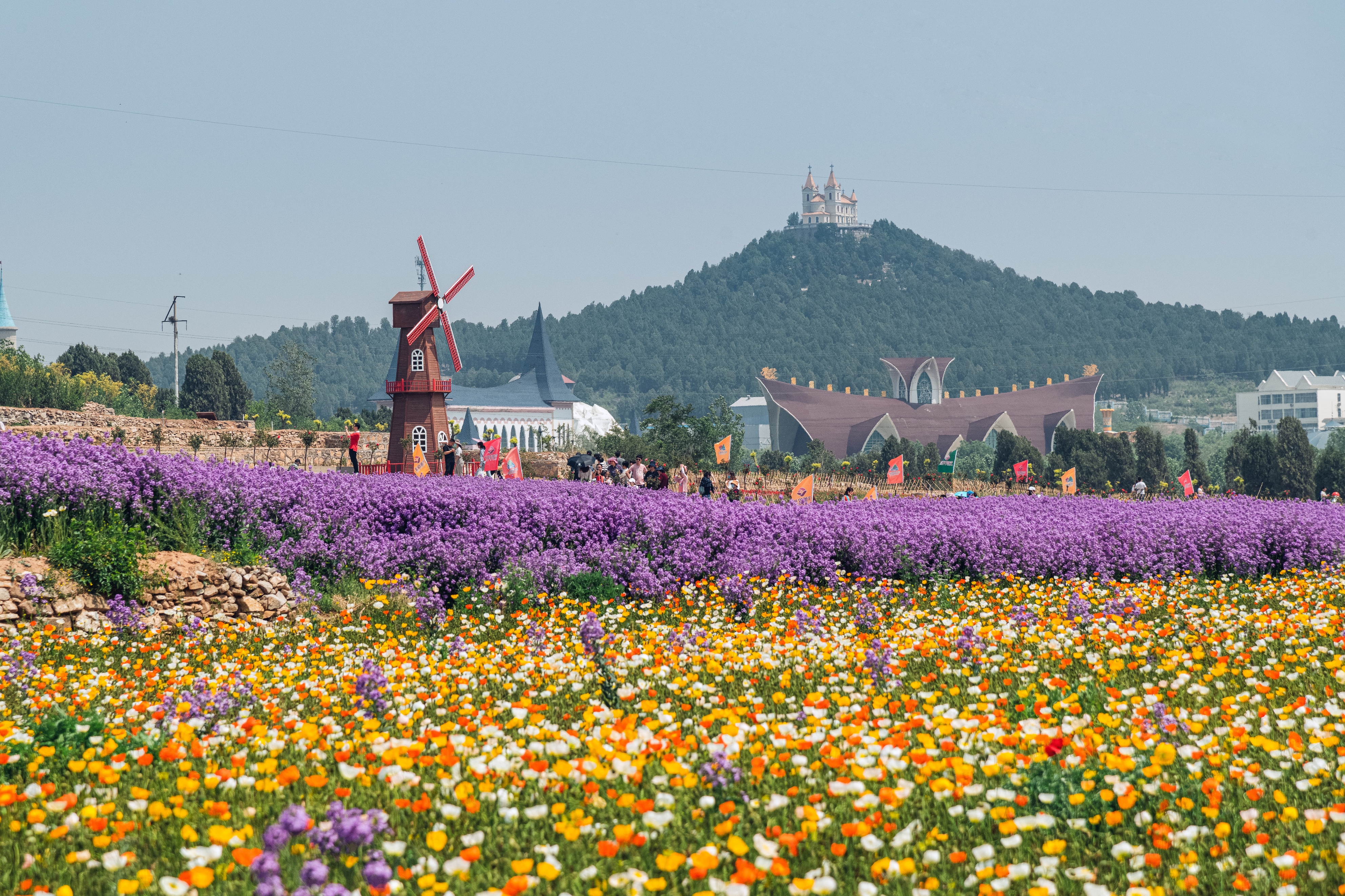 平阴文旅项目,40多项文化旅游活动