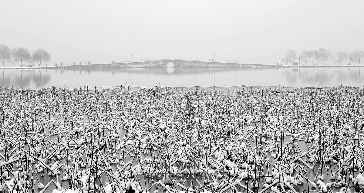 国庆西湖十景,国庆节的西湖风景区
