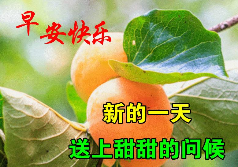 早安语录暖心短句文案图片,2015早安正能量的句子图片