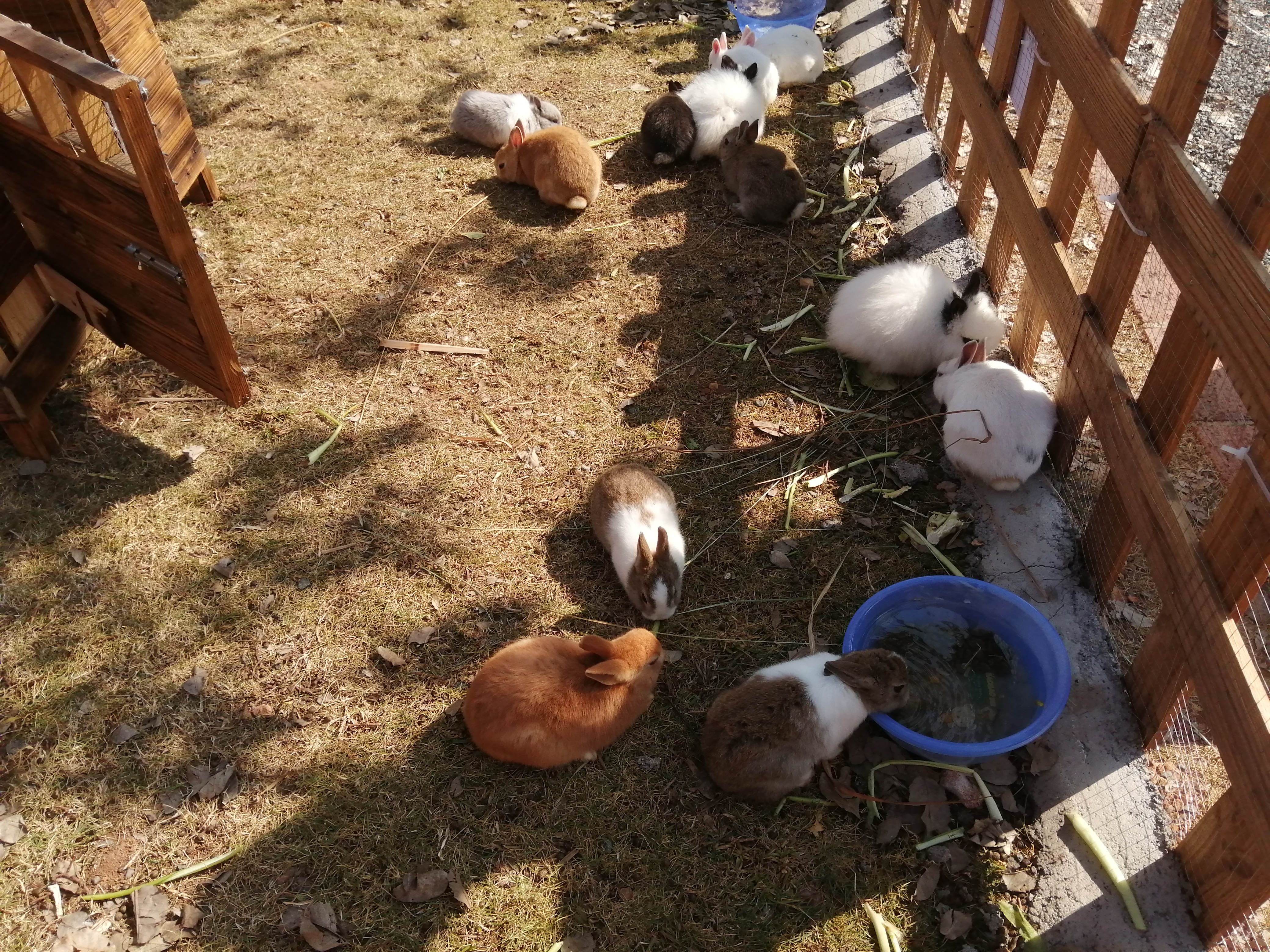 客天下(四):客天下田园花海CS战场山地车小朋友玩得乐不思蜀