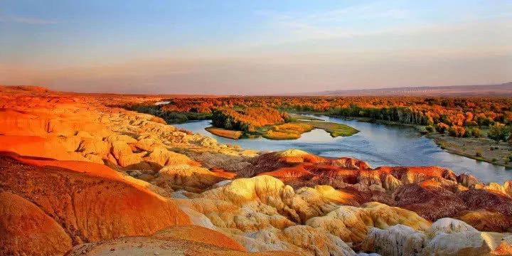 金帐汗国和白帐汗国什么关系,一文看懂西夏王朝