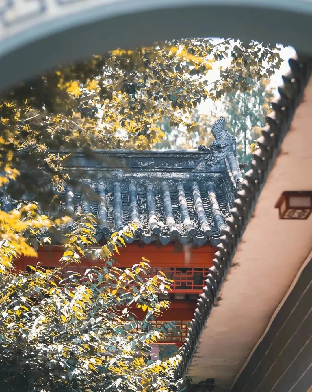 南京十二中中考2022年喜报,2022南京十二中中考四星达线率