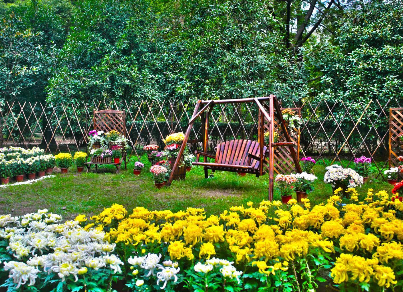 上海遛娃好去处周末亲子时光,上海有哪些值得遛娃的地方