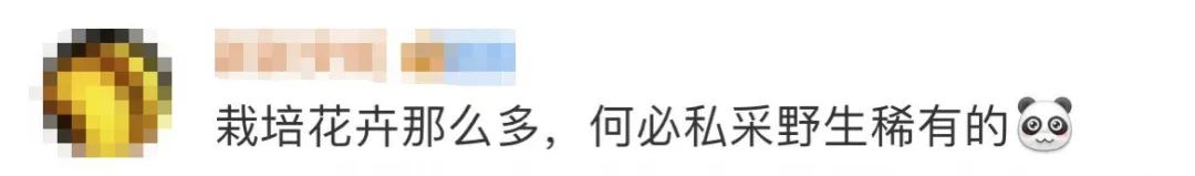 权威解读谣言粉碎机,谣言粉碎机