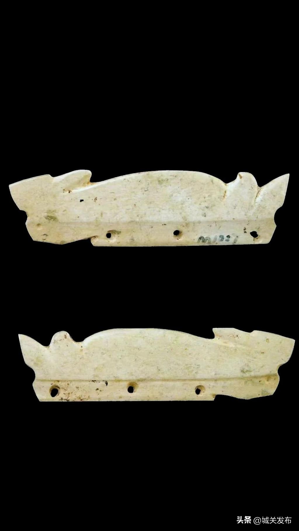 原来，你是这样的兔兔！