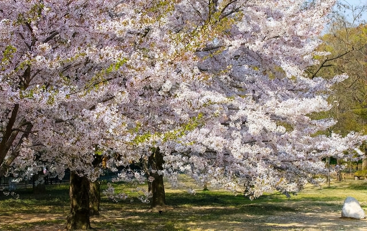 夏季海滨旅游城市排行,海滨小城的夏天是风景优美的地方