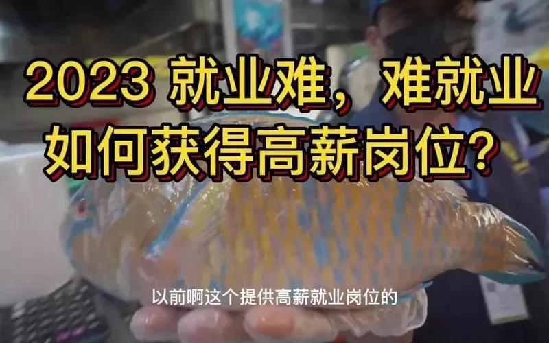 怎么面对高薪水的工作,怎样才能拿到高薪水