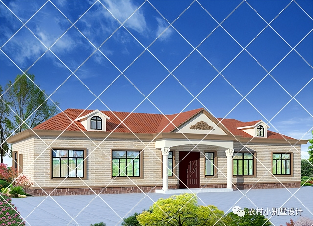 一层半层小别墅新款农村自建房,农村自建房一层别墅设计最新款