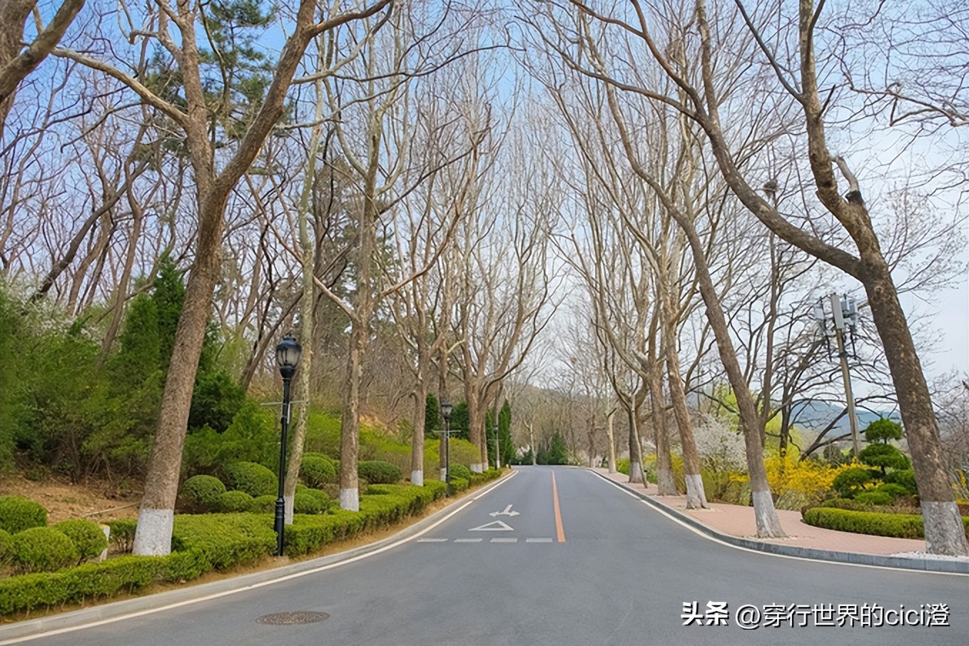 大连一日游都可以玩什么,大连一日游旅游攻略