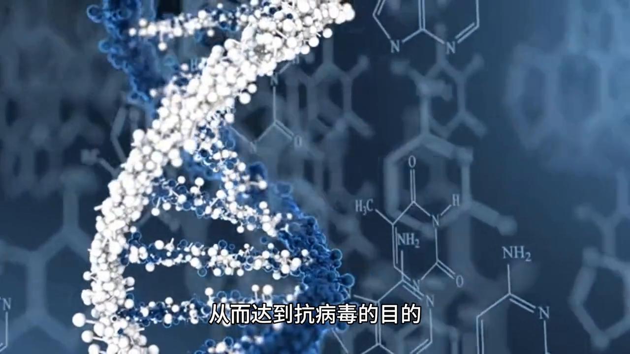 黄金骨肽素的功效与作用,黄金肽功效与作用