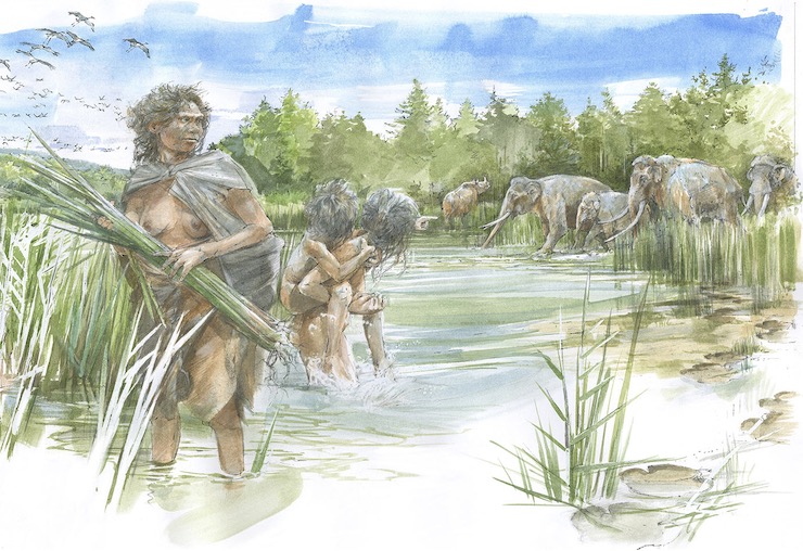 史前人类脚印大全,发现距今12万年的人类脚印