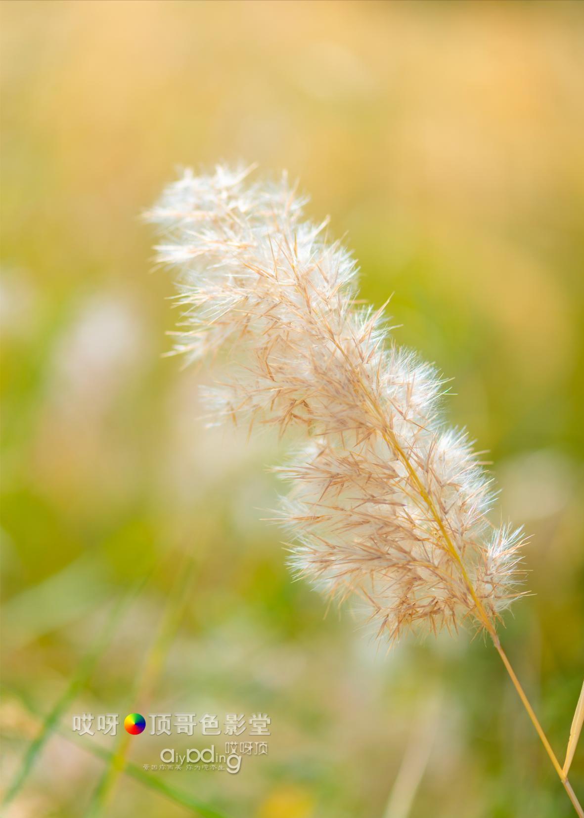 女司机带娃去新疆自驾游,带着女司机自驾游兰州