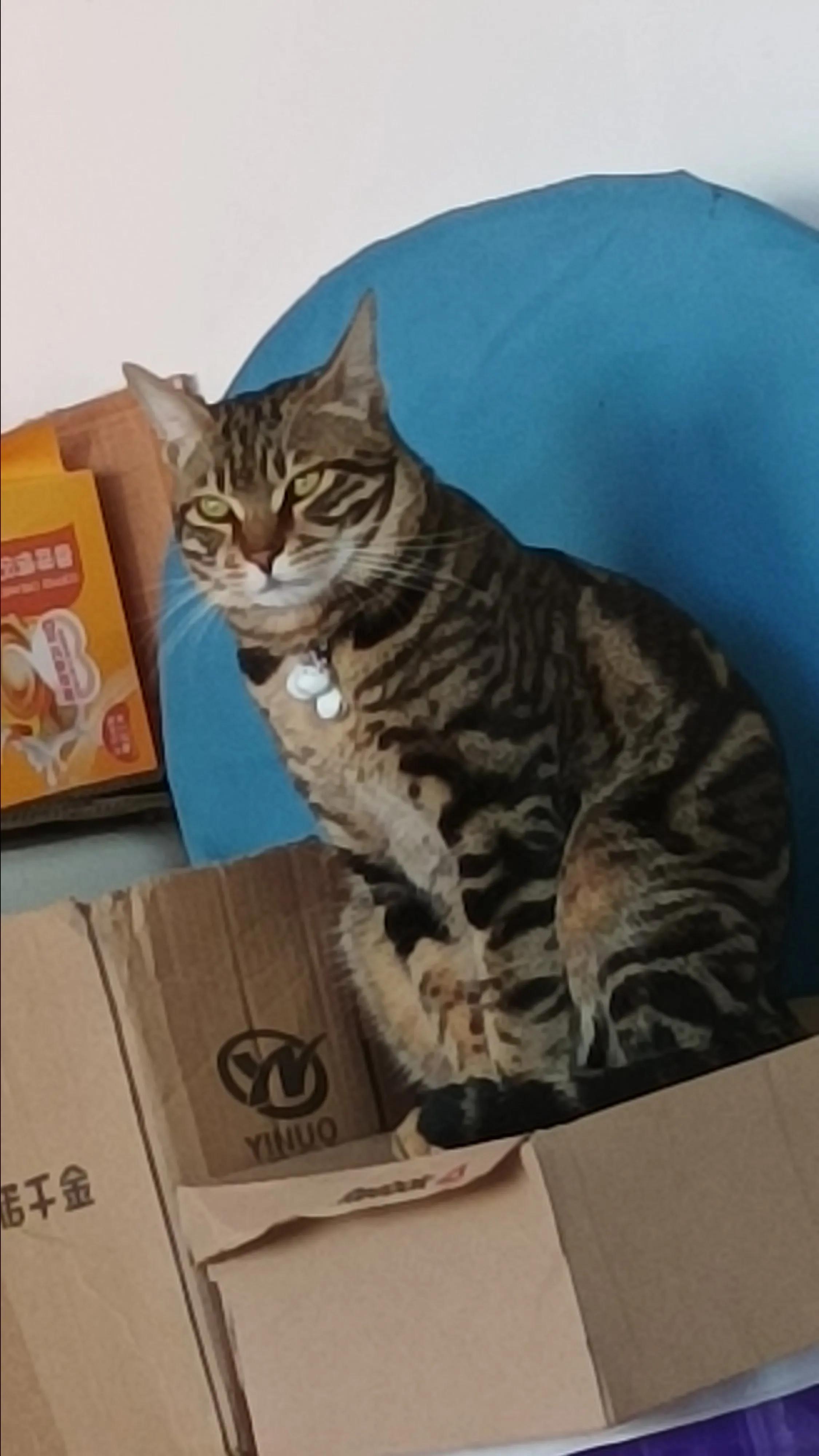 中国男足为何可以纹身,中国男足背后纹身