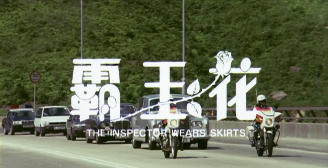 霸王花1988年,霸王花90年代