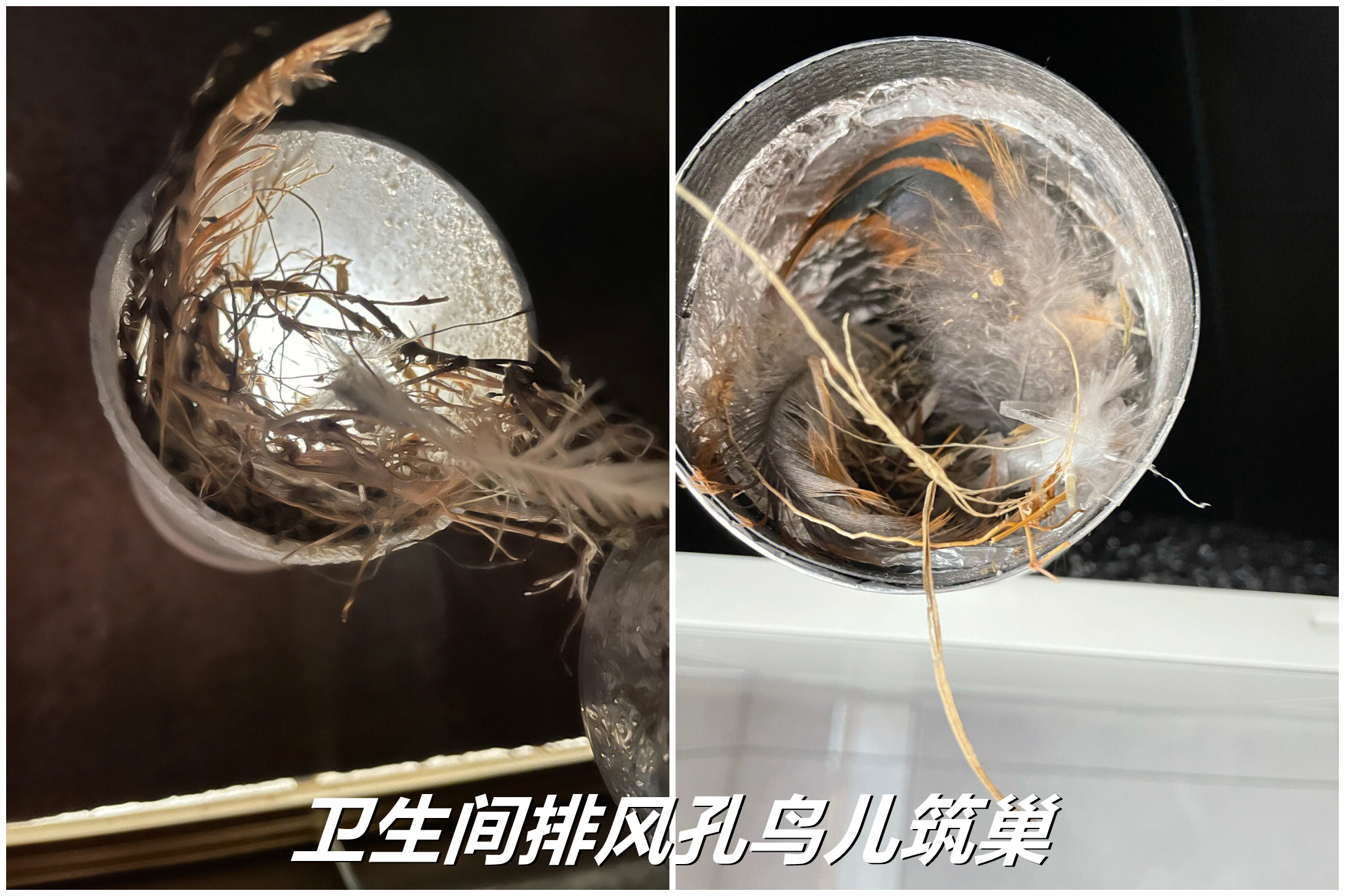 装修中最不值得花钱的五种材料,听劝房屋装修